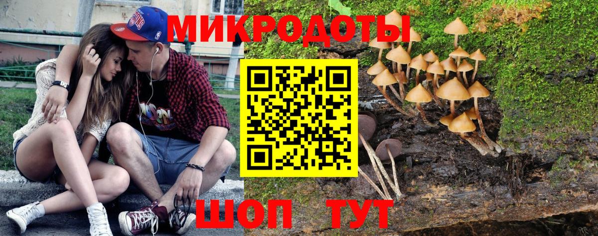 Псилоцибиновые грибы прущие грибы  хочу   Галлюциногенные грибы прущие грибы  Канаш  Вход с VPN 