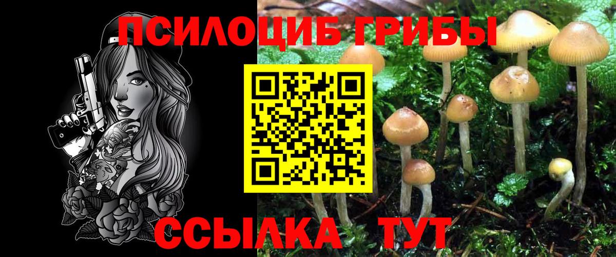 Галлюциногенные грибы ЛСД Канаш