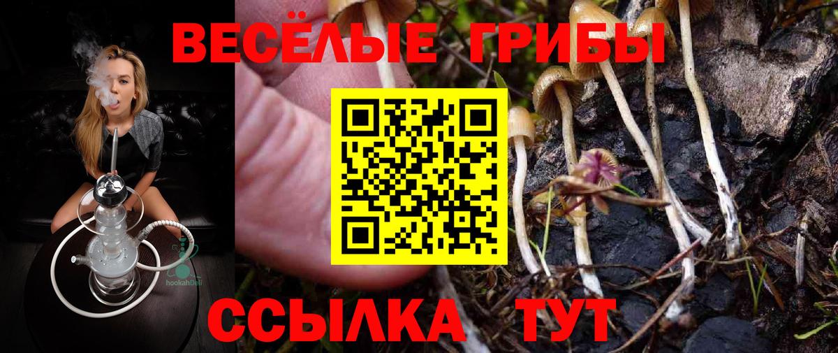 Галлюциногенные грибы Канаш